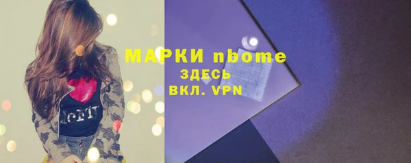 ешки Алексин