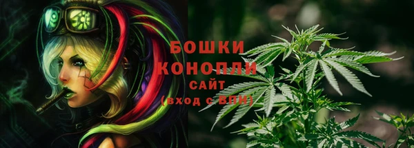 PSILOCYBIN Абаза